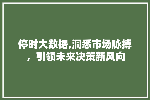 停时大数据,洞悉市场脉搏，引领未来决策新风向 必应SEO