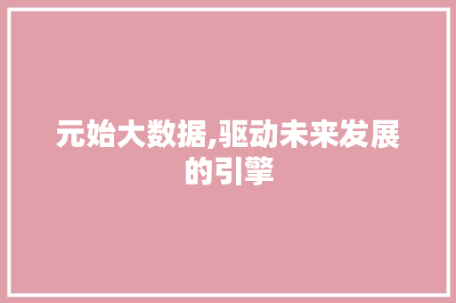 元始大数据,驱动未来发展的引擎 百度SEO