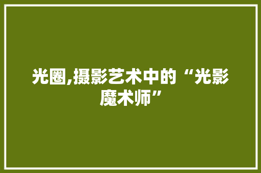 光圈,摄影艺术中的“光影魔术师” 必应SEO
