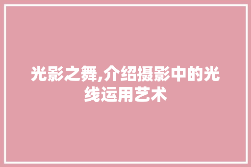 光影之舞,介绍摄影中的光线运用艺术 GoogleSEO