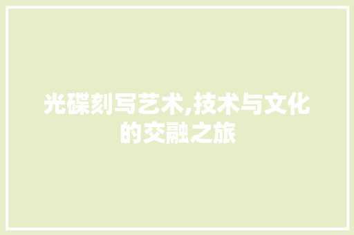 光碟刻写艺术,技术与文化的交融之旅 百度SEO