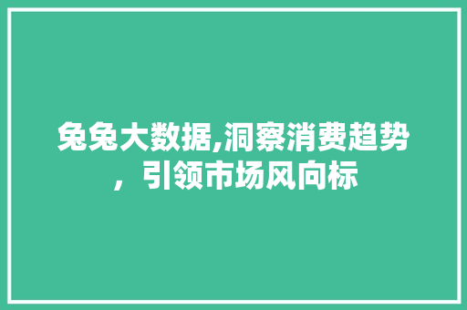 兔兔大数据,洞察消费趋势，引领市场风向标 GoogleSEO