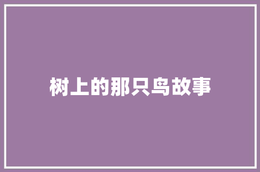 网络娱乐新纪元,打造个性化娱乐网站的方法分析 网络娱乐新纪元,打造个性化娱乐网站的方法分析 GoogleSEO