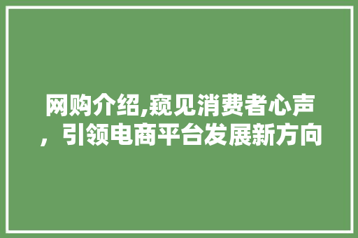 网购介绍,窥见消费者心声，引领电商平台发展新方向 网购介绍,窥见消费者心声，引领电商平台发展新方向 必应SEO