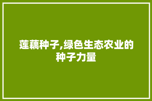 莲藕种子,绿色生态农业的种子力量 莲藕种子,绿色生态农业的种子力量 搜狗SEO