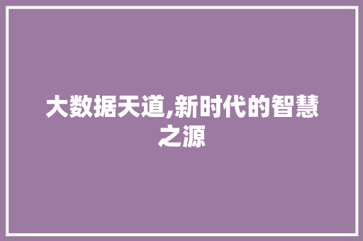 大数据天道,新时代的智慧之源