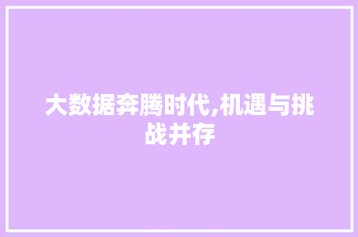 大数据奔腾时代,机遇与挑战并存 必应SEO
