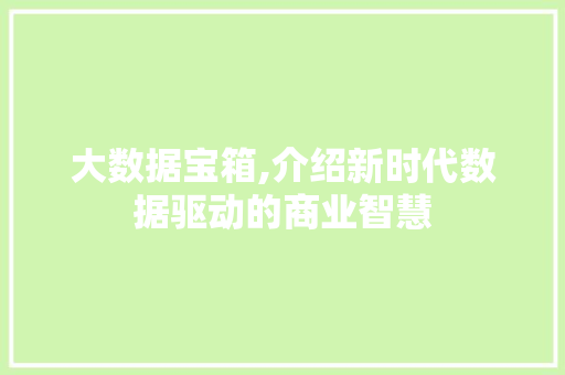 大数据宝箱,介绍新时代数据驱动的商业智慧