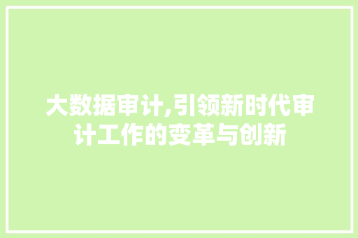 大数据审计,引领新时代审计工作的变革与创新