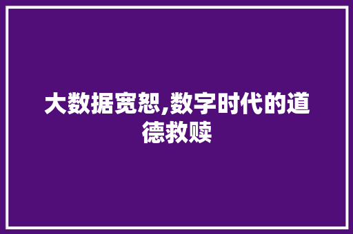 大数据宽恕,数字时代的道德救赎