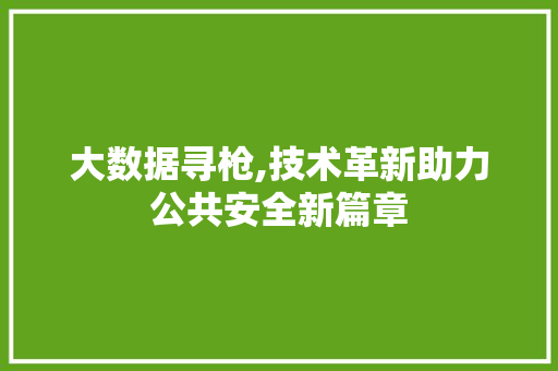 大数据寻枪,技术革新助力公共安全新篇章 必应SEO