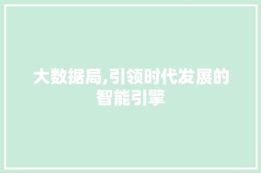 大数据局,引领时代发展的智能引擎