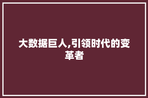 大数据巨人,引领时代的变革者