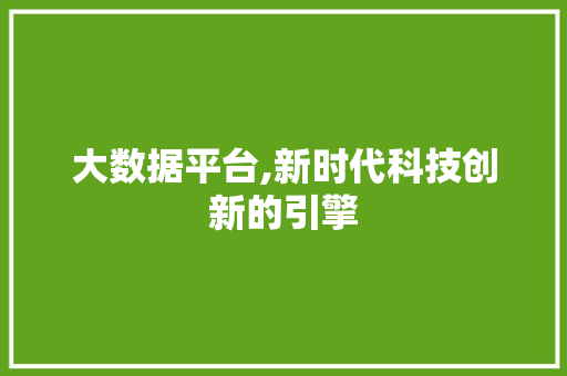 大数据平台,新时代科技创新的引擎