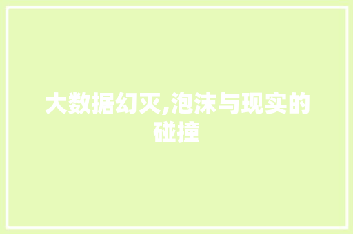 大数据幻灭,泡沫与现实的碰撞 百度SEO