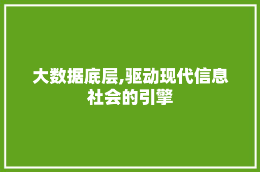 大数据底层,驱动现代信息社会的引擎