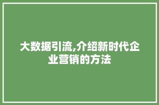 大数据引流,介绍新时代企业营销的方法