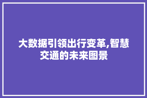 大数据引领出行变革,智慧交通的未来图景