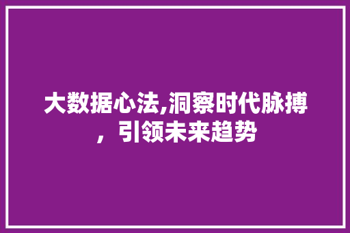 大数据心法,洞察时代脉搏，引领未来趋势