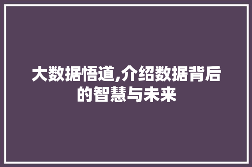 大数据悟道,介绍数据背后的智慧与未来 GoogleSEO