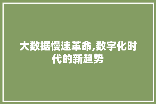 大数据慢速革命,数字化时代的新趋势