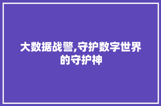 大数据战警,守护数字世界的守护神