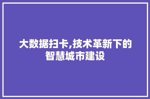 大数据扫卡,技术革新下的智慧城市建设