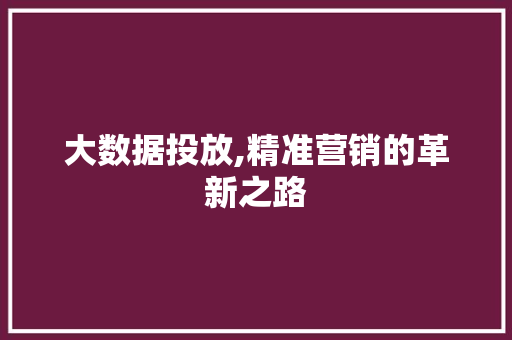 大数据投放,精准营销的革新之路