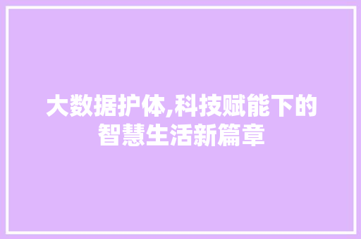 大数据护体,科技赋能下的智慧生活新篇章