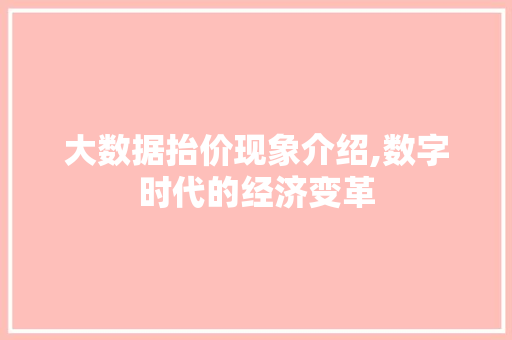 大数据抬价现象介绍,数字时代的经济变革