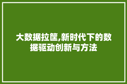大数据拉筐,新时代下的数据驱动创新与方法 GoogleSEO