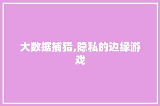 大数据捕猎,隐私的边缘游戏 搜狗SEO
