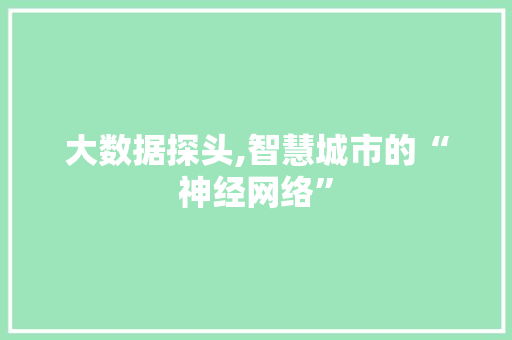 大数据探头,智慧城市的“神经网络” 必应SEO
