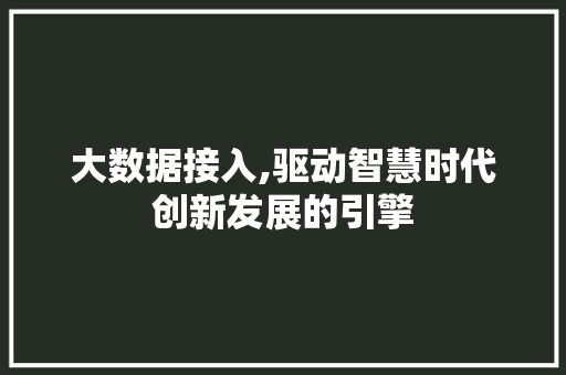 大数据接入,驱动智慧时代创新发展的引擎 神马SEO
