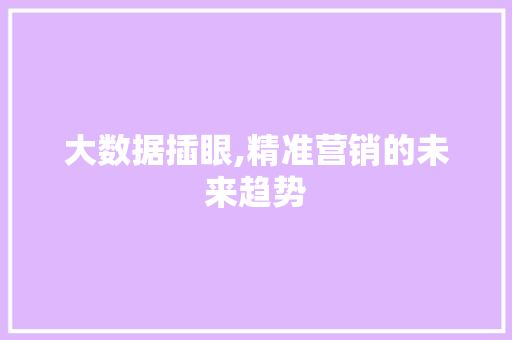 大数据插眼,精准营销的未来趋势