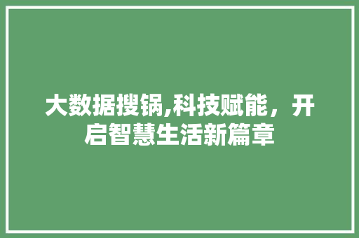大数据搜锅,科技赋能，开启智慧生活新篇章 神马SEO