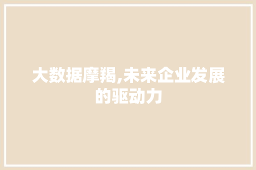 大数据摩羯,未来企业发展的驱动力 必应SEO