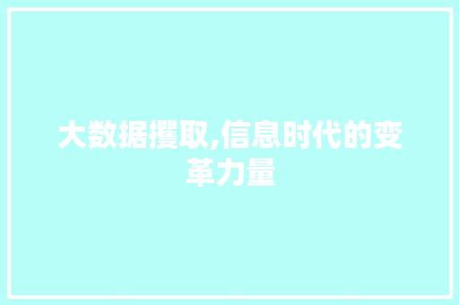 大数据攫取,信息时代的变革力量