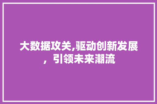 大数据攻关,驱动创新发展，引领未来潮流 神马SEO