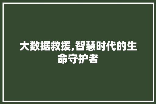 大数据救援,智慧时代的生命守护者