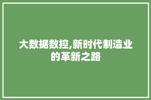 大数据数控,新时代制造业的革新之路