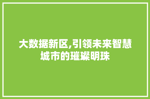 大数据新区,引领未来智慧城市的璀璨明珠