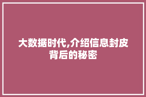 大数据时代,介绍信息封皮背后的秘密