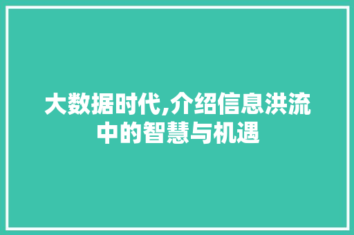 大数据时代,介绍信息洪流中的智慧与机遇