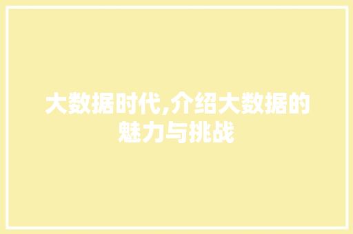 大数据时代,介绍大数据的魅力与挑战