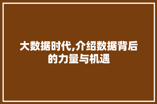 大数据时代,介绍数据背后的力量与机遇