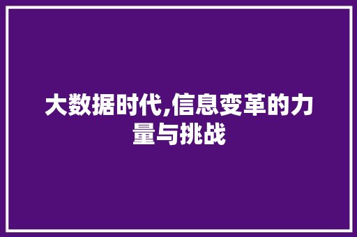 大数据时代,信息变革的力量与挑战
