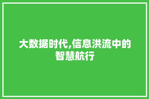 大数据时代,信息洪流中的智慧航行