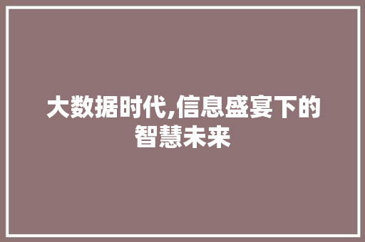 大数据时代,信息盛宴下的智慧未来