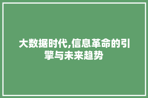 大数据时代,信息革命的引擎与未来趋势